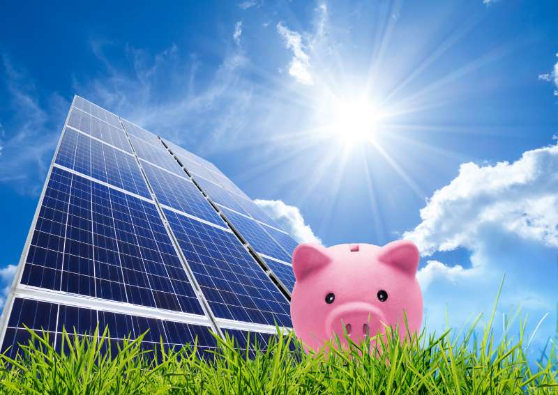 Solar panels with pink piggy bank in foreground